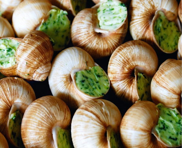 Escargots préparés à la bourguignonne label rouge